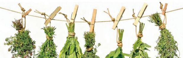 Effective plants from prostatitis